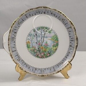 Set of 6 -Royal Albert - Vintage- Tennis / 3 O' Clock Silver Birch 8 5/8" Plate